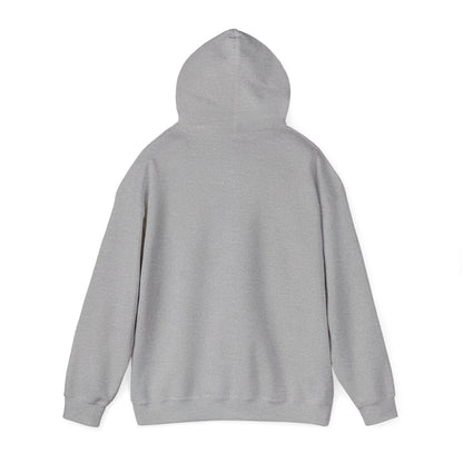 Men's Classic Fit VS Hoodie - Mid Weight Soft Tubular Knit, Color Options