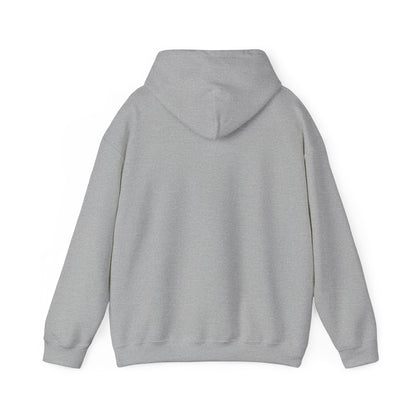 Men's Classic Fit VS Hoodie - Mid Weight Soft Tubular Knit, Color Options