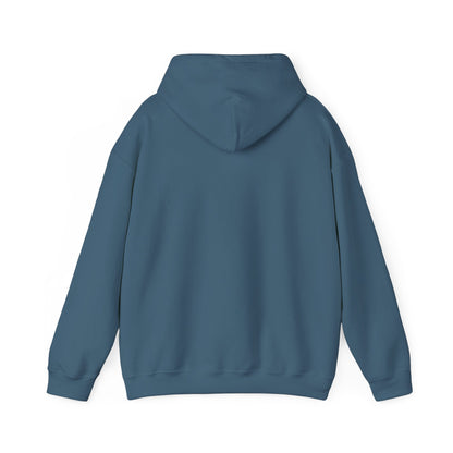 Men's Classic Fit VS Nautical Hoodie - Mid Weight Soft Knit, Color Options