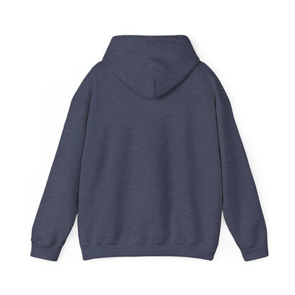 Men's Classic Fit VS Nautical Hoodie - Mid Weight Soft Knit, Color Options
