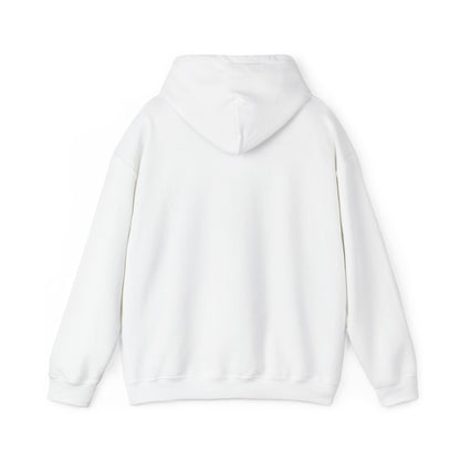 Women's Classic Fit 'Prism' Hoodie - Mid Weight Soft Knit, Color Options