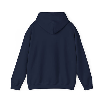 Classic Fit VS Hoodie - Men/Women, Mid Weight Soft Tubular Knit, Color Options