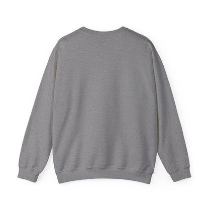 VS Everyday Crewneck Sweatshirt | Men/Women Mid Weight, Color Options