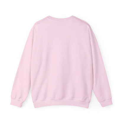 VS Everyday Crewneck Sweatshirt | Men/Women Mid Weight, Color Options