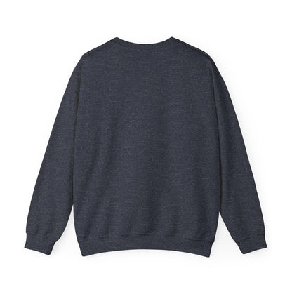 VS Everyday Crewneck Sweatshirt | Men/Women Mid Weight, Color Options