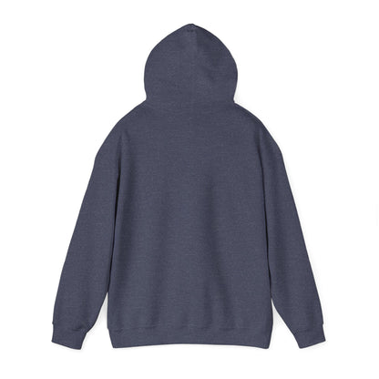 Men's Classic Fit VS Nautical Hoodie - Mid Weight Soft Knit, Color Options