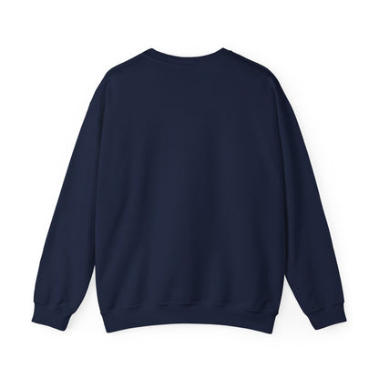 VS Everyday Crewneck Sweatshirt | Men/Women Mid Weight, Color Options