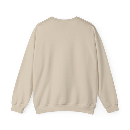 VS Everyday Crewneck Sweatshirt | Men/Women Mid Weight, Color Options