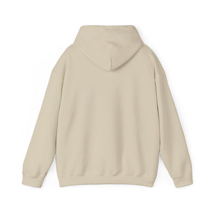 Women's Classic Fit VS Hoodie - Mid Weight Soft Comfy Knit, Color Options