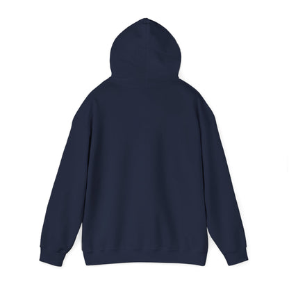Men's Classic Fit VS Nautical Hoodie - Mid Weight Soft Knit, Color Options