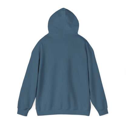 Men's Classic Fit VS Nautical Hoodie - Mid Weight Soft Knit, Color Options